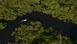 Brazil Commits $1.9 Billion to Climate Fund Targeting Urban Resilience and Amazon Restoration