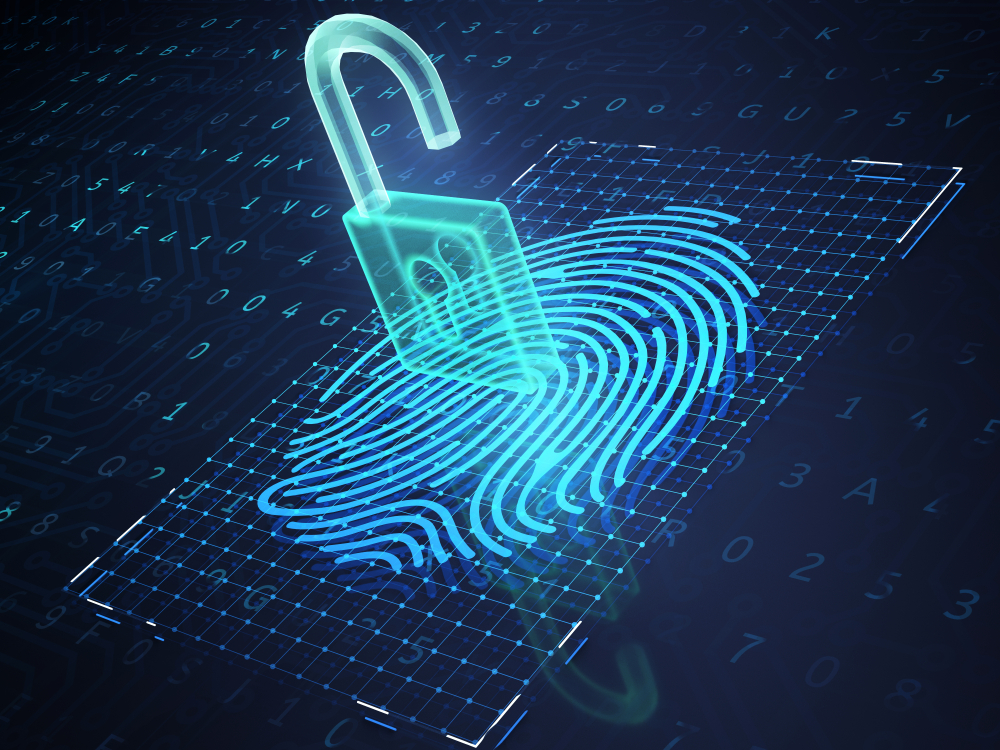 Digital-Identity-Fraud
