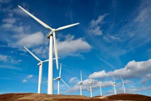 Brazil’s Wind Power Sector Faces Deepest Crisis as Investment and Output Plunge