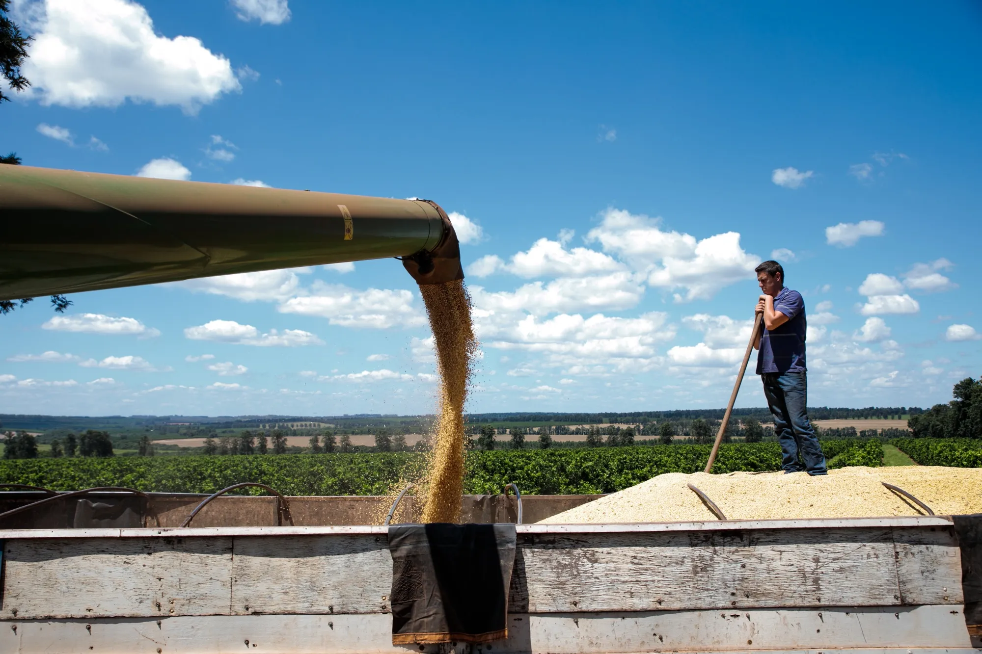 From Farmland to Finance: Brazil's Blockchain Breakthroughs Outpace Global Rivals