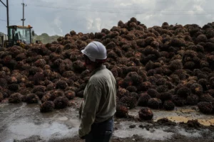 Extortion Gangs Choke Colombia’s Oil and Farm Heartland