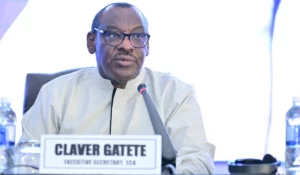 Africa: The Global Rush for Resources Intensifies