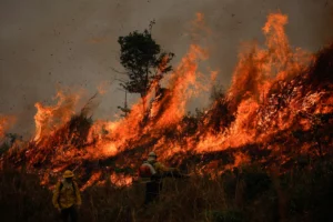 Burning Beyond Control: Amazon Faces Historic Destruction Ahead of Climate Summit