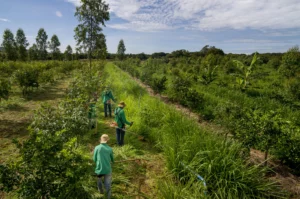 Brazil Pushes Land Reform to Boost Small Farmers Amid Economic Pressures