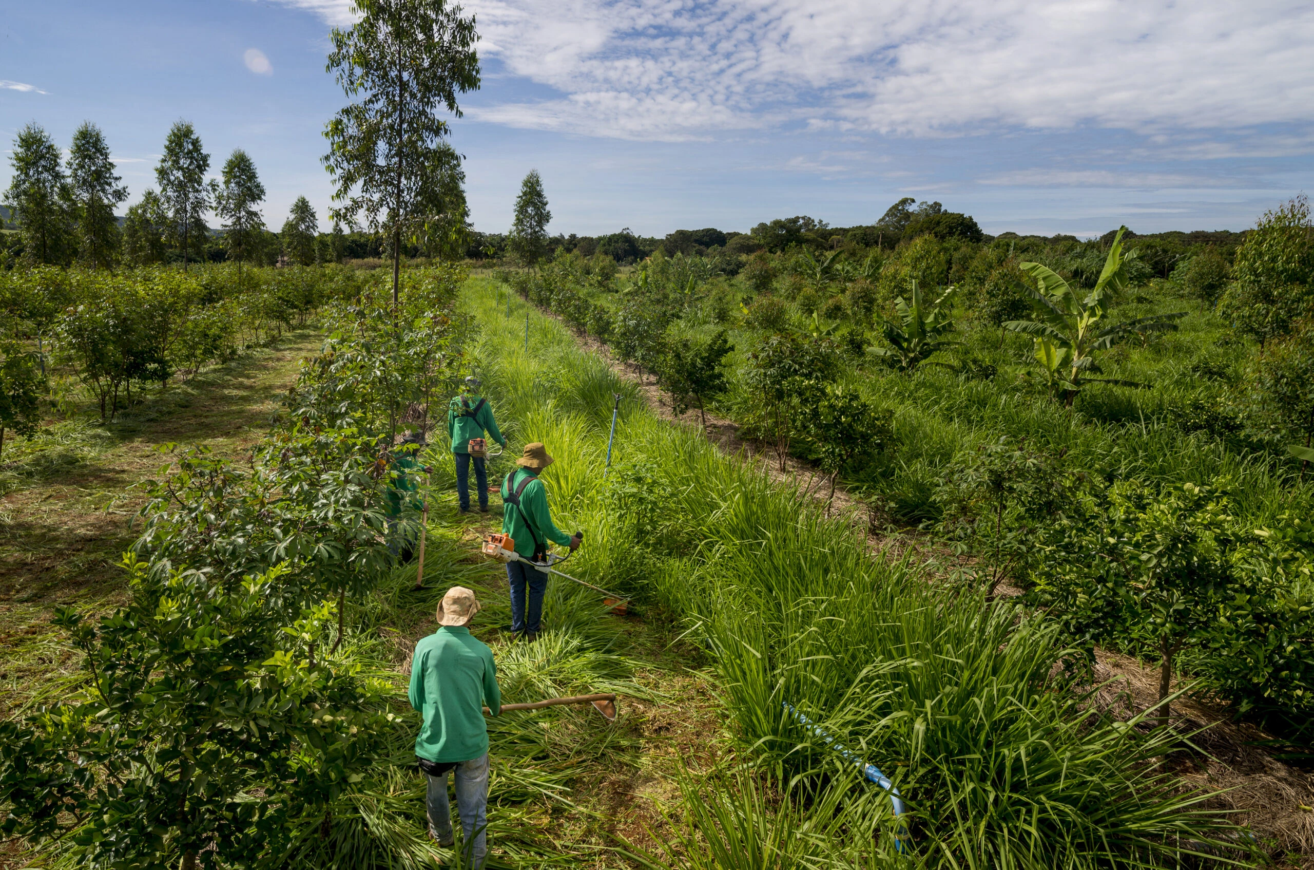 Brazil Pushes Land Reform to Boost Small Farmers Amid Economic Pressures