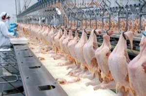 Soybean Giant Brazil Secures Poultry, Ethanol Markets in $50B China Trade