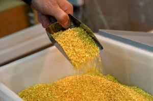 Criminal Networks Choke Gold Output of Peru, World's Sixth-Largest Producer