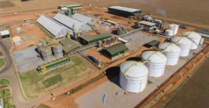 Brazil’s First Wheat Ethanol Plant Aims to Cut $50M Annual Gluten Imports