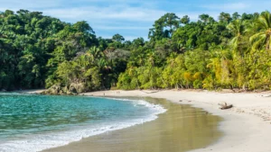 Costa Rica's Manuel Antonio Beach: A Natural Paradise of Turquoise Waters and White Sand
