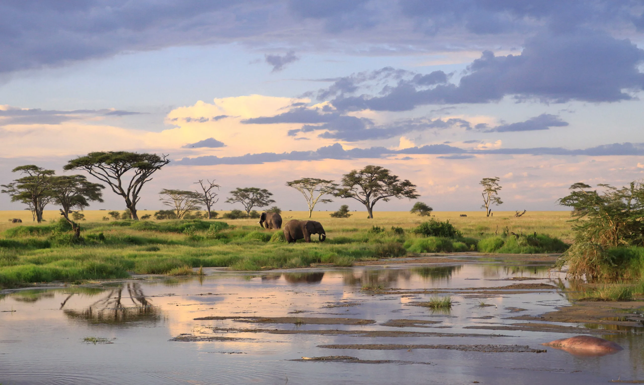 Beyond the Headlines: The New Economic Powerhouses of Africa