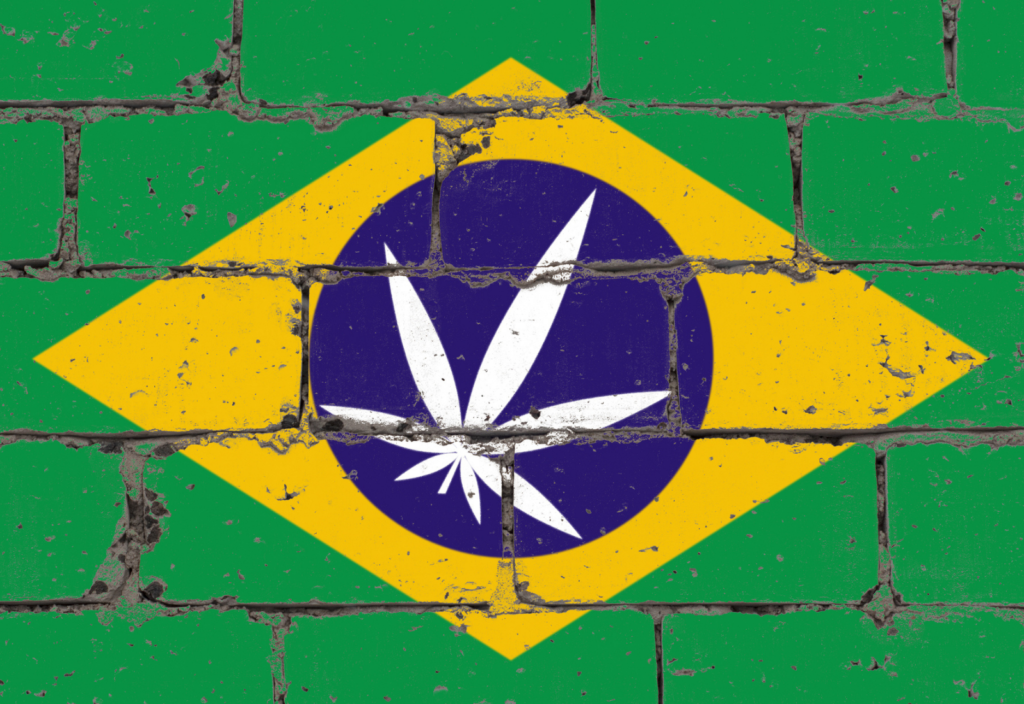 cannabis