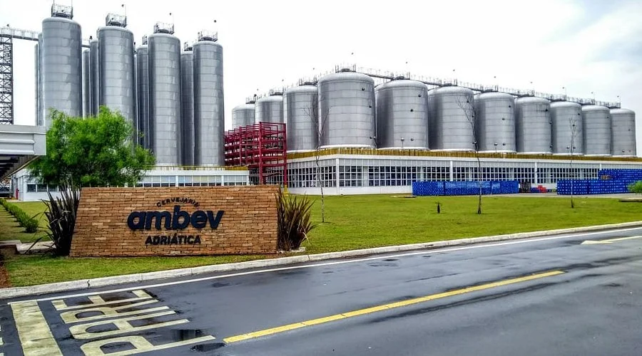 Ambev's 2025 Strategy Tested by Regional Divides and Rising Costs