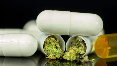 thc-capsules-e1544214490117