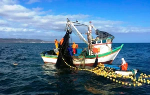 The Importance and Current Reality of Peru’s Fishing Sector