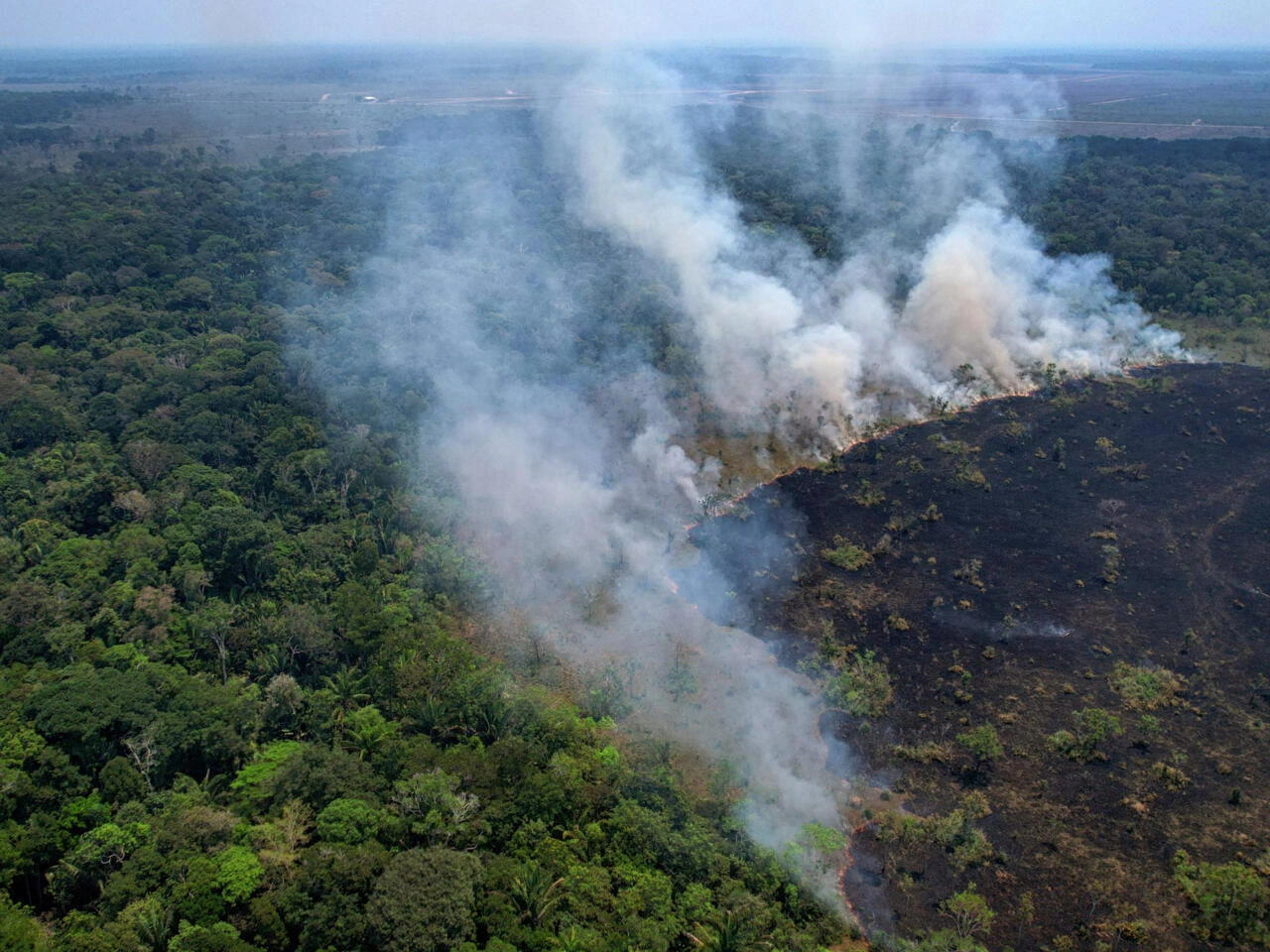 Amazon Fund Hits Record Investment, Aims for Real Change in the Amazon