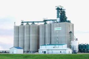 Bunge-Viterra Merger Secures China’s Approval, Reshaping Global Grain Trade