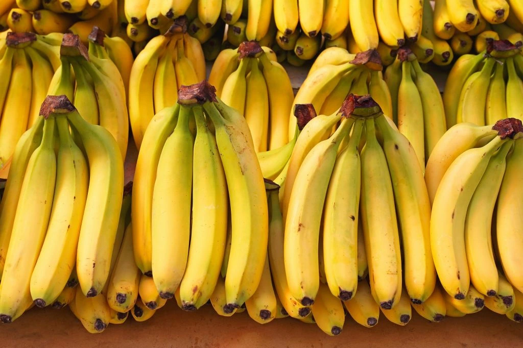 Ecuador Rises as Key Banana Supplier to China with Faster Deliveries and Lower Costs