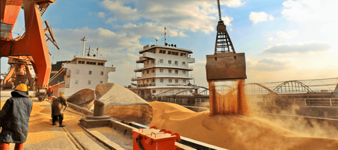 Record Soybean Exports Cement Brazil’s Role in Feeding China