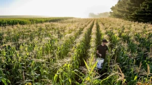 From Local Hands to Global Funds: The Shift in Farmland Power