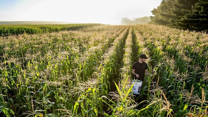 From Local Hands to Global Funds: The Shift in Farmland Power