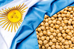 Argentina’s Soybean Harvest Holds Steady Amid Weather Swings and Market Pressures