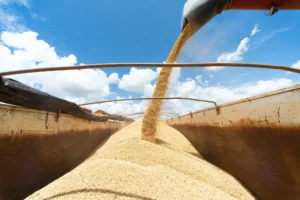 U.S. Tariffs Hit Brazil’s Agricultural Heart, Exposing Economic Risks of Political Disputes