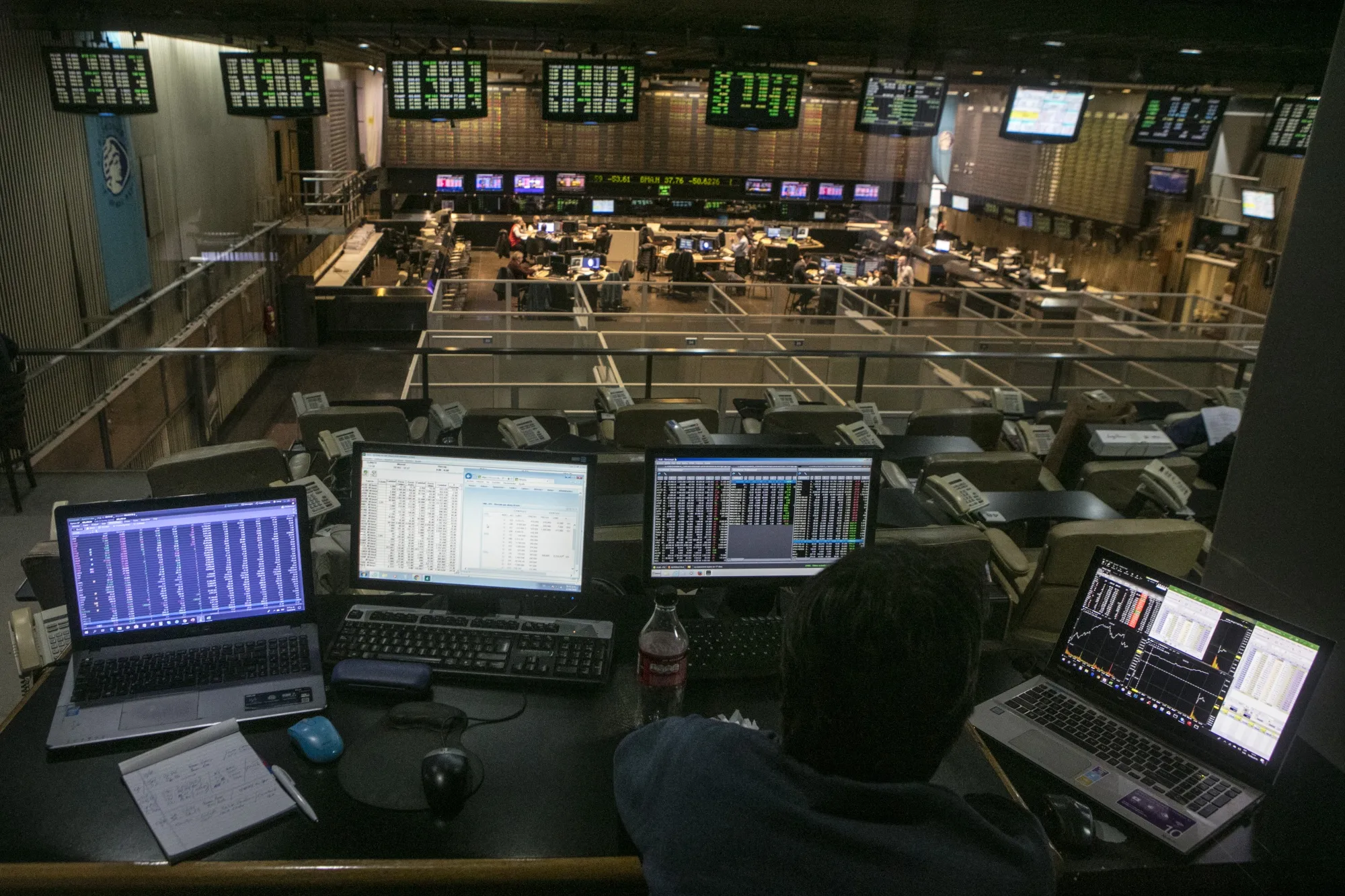 Argentine Stock
