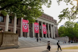 The World’s Top Universities Hold Their Edge—But Challengers are Rising