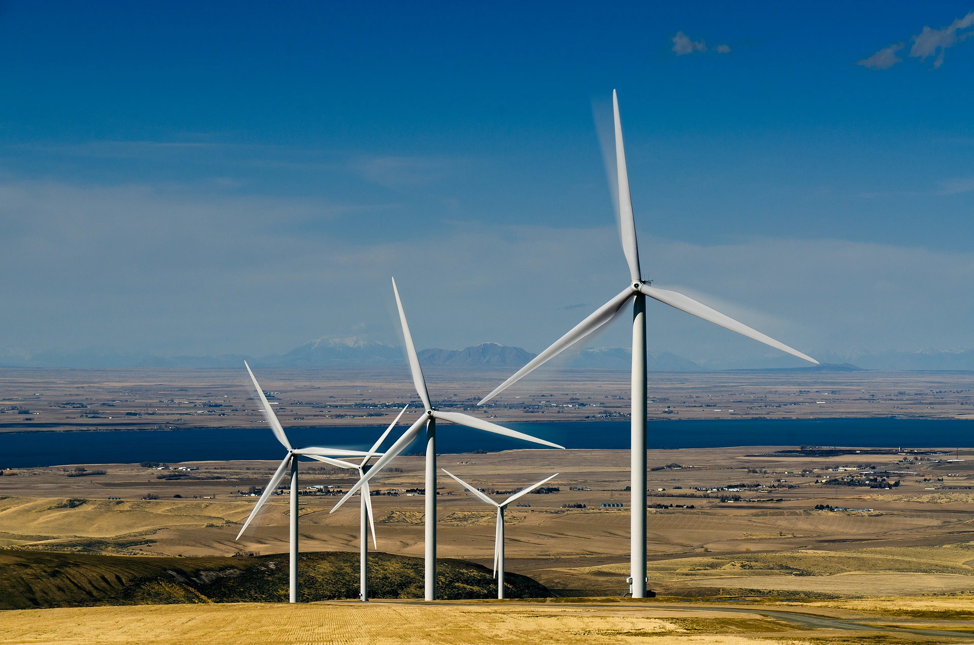 Ecopetrol Buys Windpeshi: Colombia’s Oil Giant Invests in Local Wind Power