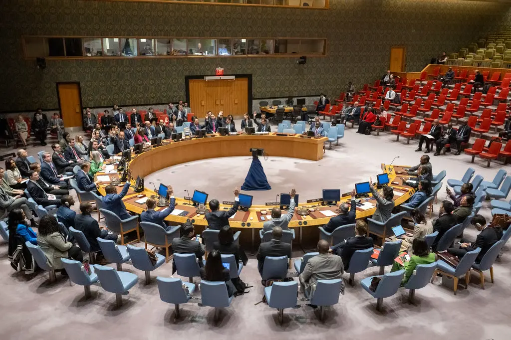 Brazil and India Seek UN Security Council Seats—But Brazil’s