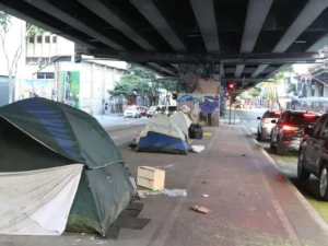 Has Poverty Really Fallen in Brazil? A Deep Dive Beyond the Official Claims