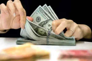 U.S. Borrowing Costs Fall as Germany and Japan Face Rising Pressure
