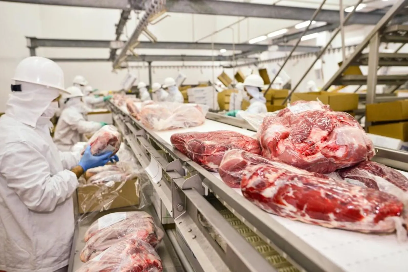 Paraguay Rises to Top Eight in Global Beef Exports as Earnings Hit Record High