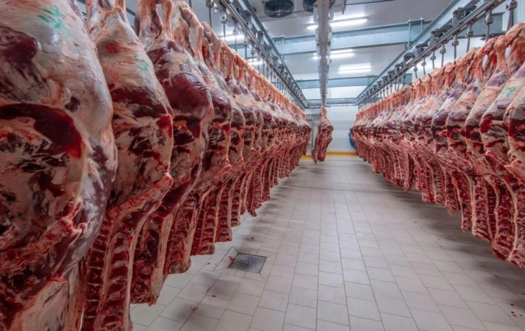 Uruguay’s Exports Grow in 2025 as Beef and Cellulose Lead the Way