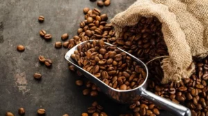 U.S. Rethinks Tariffs on Brazilian Coffee and Cocoa as Trade Talks Shift