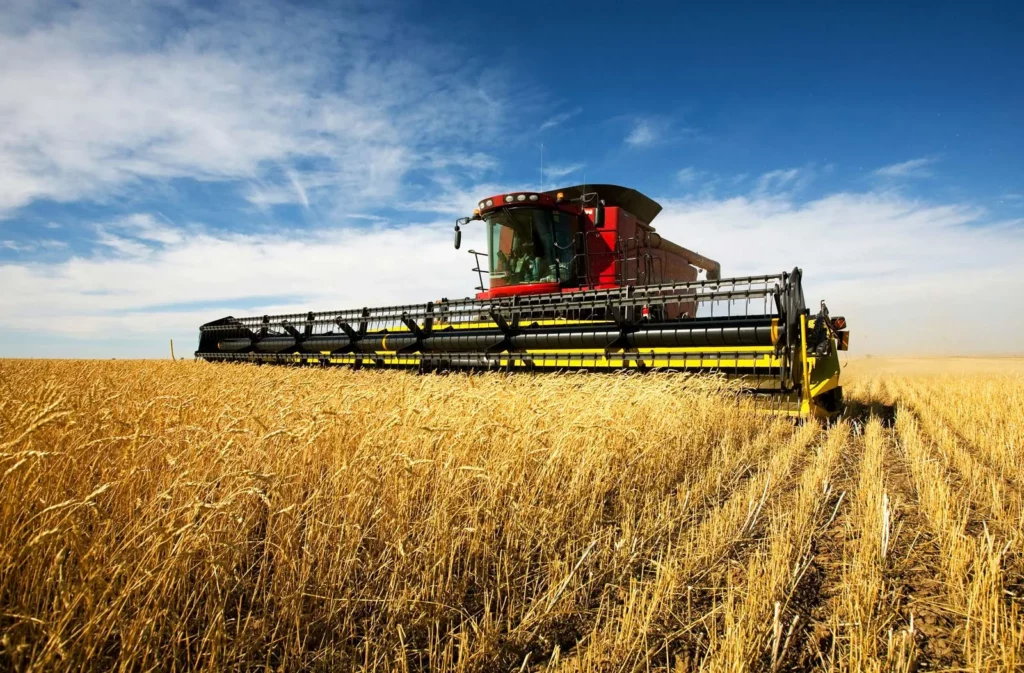 Argentina Slashes Farm Export Taxes to Boost Rural Profits and Dollar Reserves