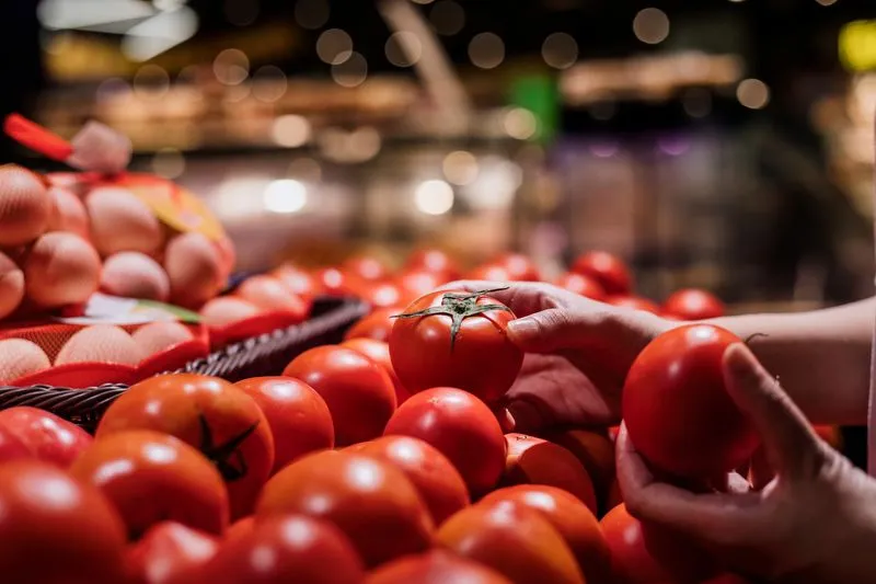 U.S. Imposes 17% Tariff on Mexican Tomatoes to Support Domestic Farmers