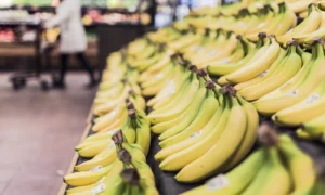 Ecuador Steps Into China’s Banana Market as Global Rivals Falter