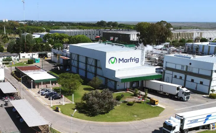 Marfrig, Cemig, and Cosan: Q2 2025 Results Signal Shifting Fortunes for Brazilian Leaders