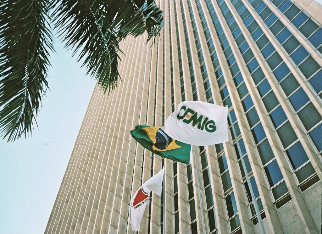 State Ownership Versus Market Forces: What’s Next for Cemig, Copasa, and RD Saúde?