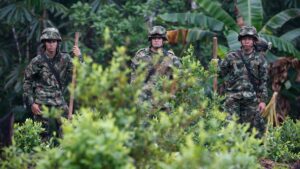 Colombia’s Drug Routes Turn Soldiers Into Bargaining Chips