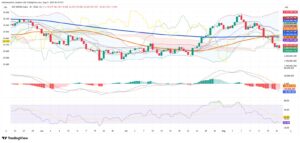 Argentine Peso Holds Under Controls as Equities Slide Toward Support