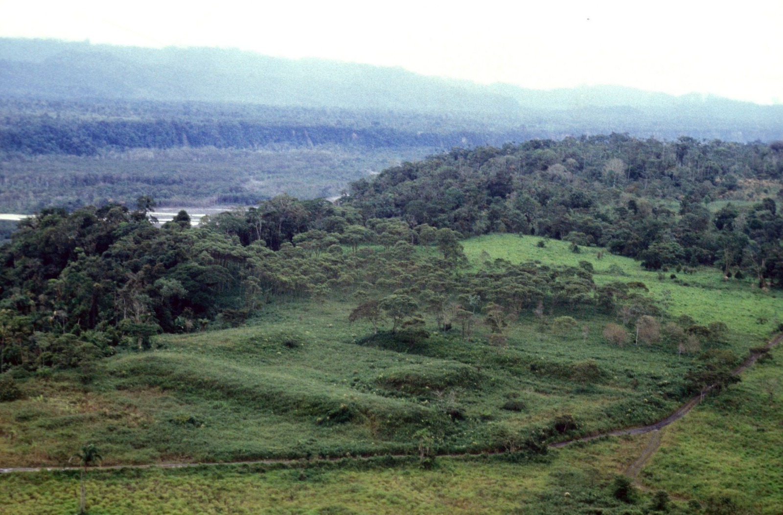 The Myth of the Untouched Amazon Before the Arrival of European Conquerors