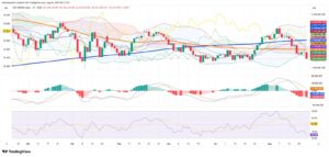 Argentine Peso Weakens as Equities Sink; Dollar Benchmarks Advance