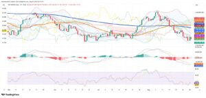 Argentina’s Peso Stability Masks Economic and Market Pressure as Investors Show Preference for Safety