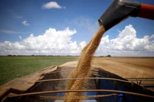 Brazil’s 2025 Grain Boom Outpaces Global Predictions by Four Years