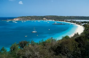 Tiny Caribbean Island Anguilla Banks Big with .AI Domain Revenue