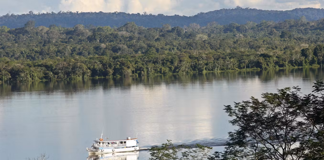 Deforestation Dries Amazon and Draws U.S. Trade Scrutiny