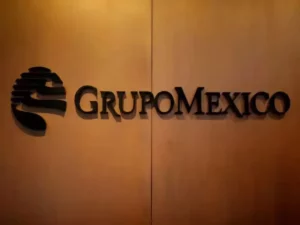 Grupo México's $760 Million Bet Against Public Trading
