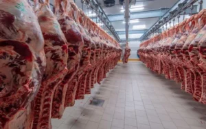 Uruguay’s Export Engine Hums: Beef Boom and China Demand Drive September Gain